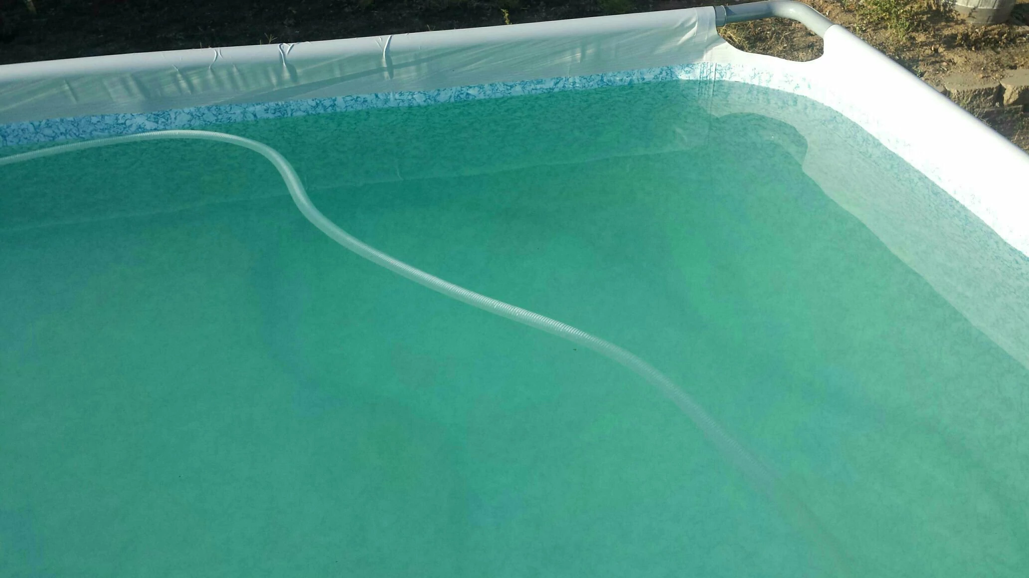 How to Get Rid of Algae Dust in Pool